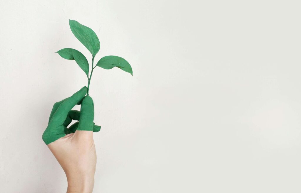 A person holding a plant in their left hand to illustrate the evergreen cycle of content loops in growth marketing.